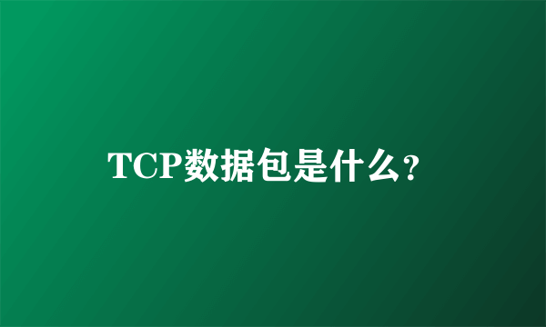 TCP数据包是什么？