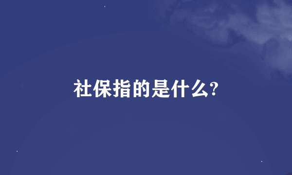 社保指的是什么?