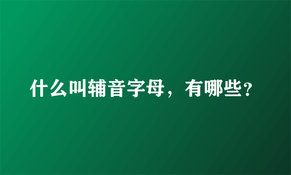 什么叫辅音字母，有哪些？