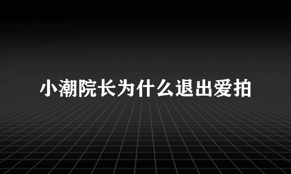 小潮院长为什么退出爱拍