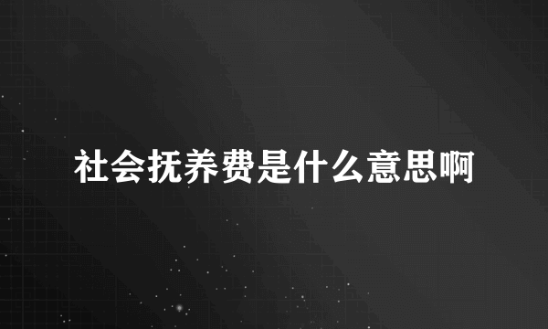 社会抚养费是什么意思啊