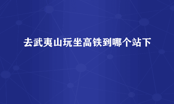 去武夷山玩坐高铁到哪个站下