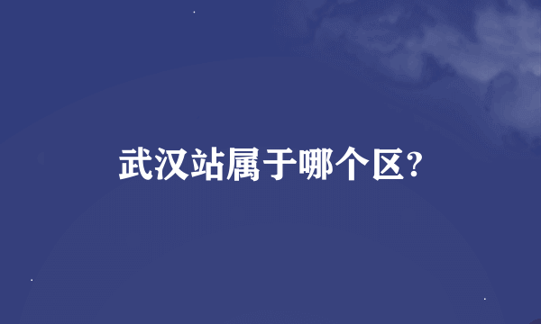 武汉站属于哪个区?