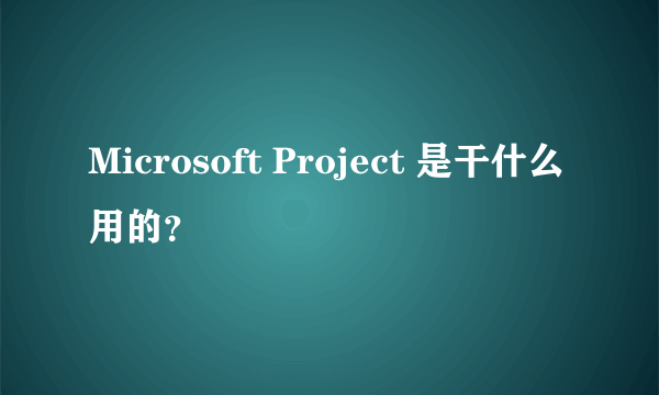 Microsoft Project 是干什么用的？