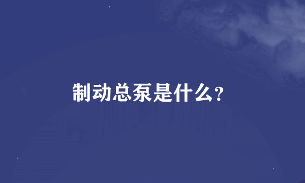 制动总泵是什么？