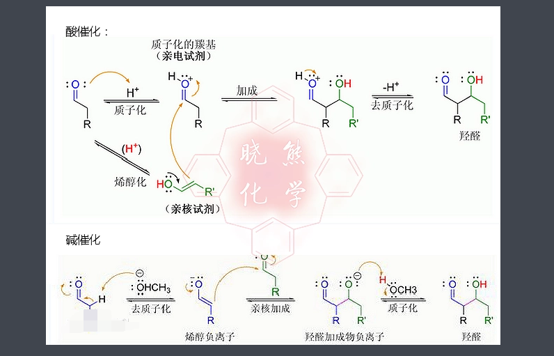 aldol反应是什么呢？