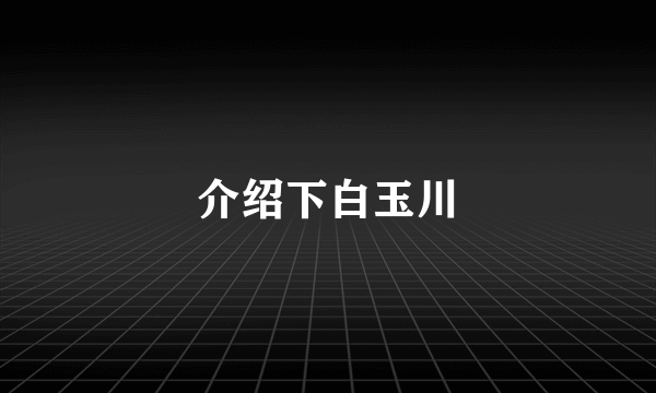 介绍下白玉川