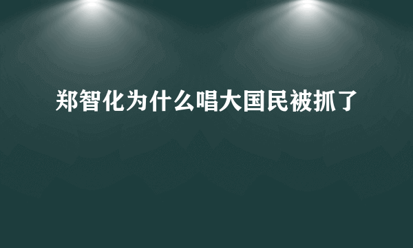 郑智化为什么唱大国民被抓了