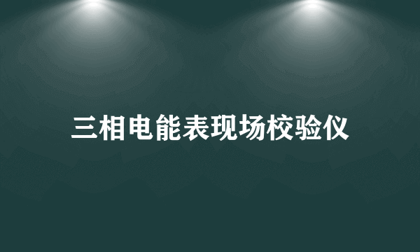 三相电能表现场校验仪