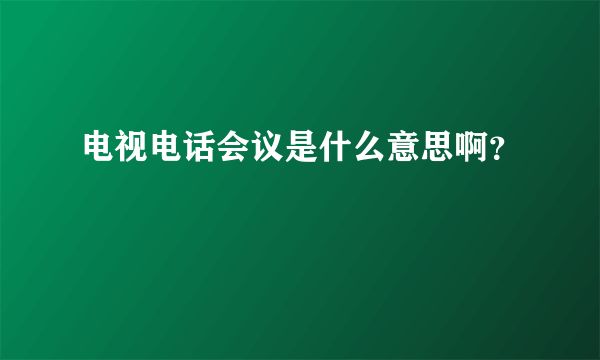 电视电话会议是什么意思啊？