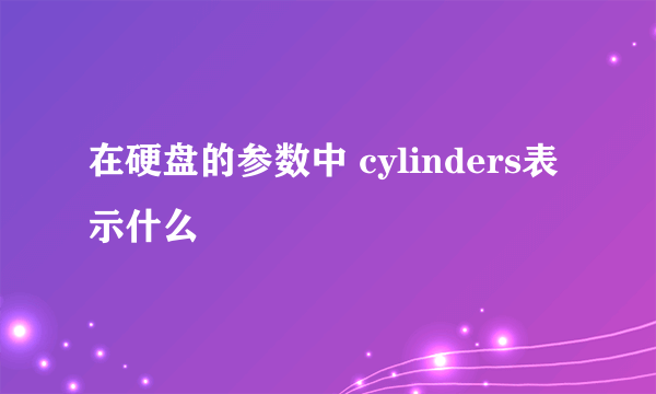 在硬盘的参数中 cylinders表示什么