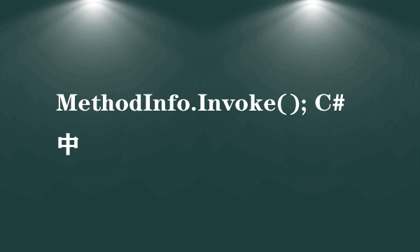 MethodInfo.Invoke(); C#中