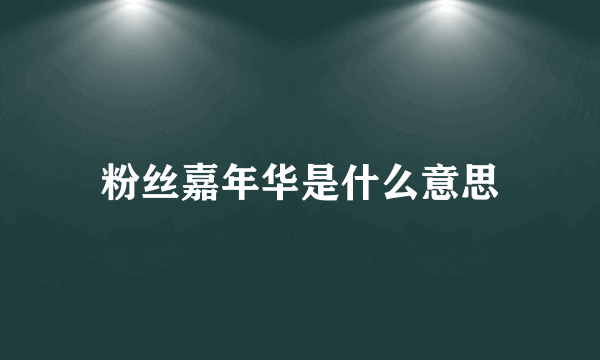 粉丝嘉年华是什么意思