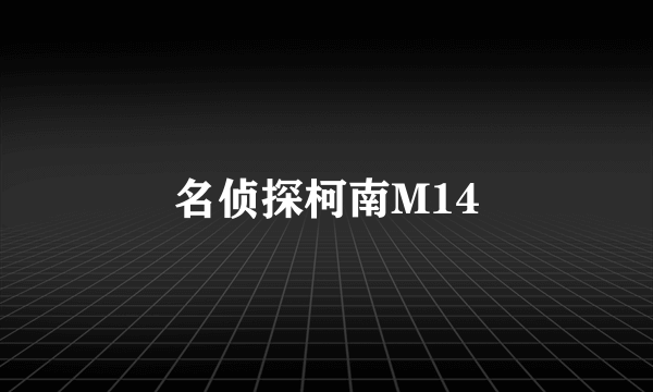 名侦探柯南M14