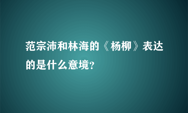 范宗沛和林海的《杨柳》表达的是什么意境？