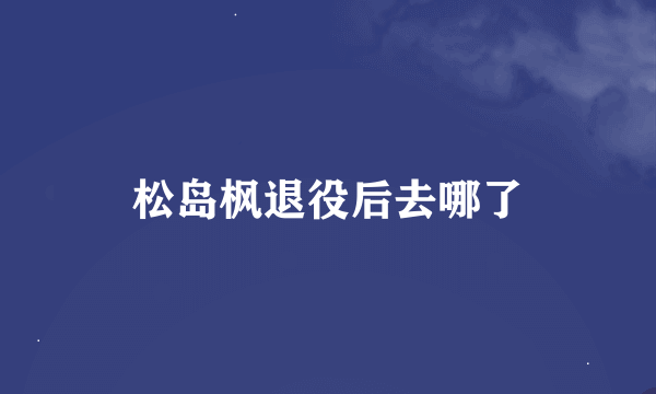 松岛枫退役后去哪了