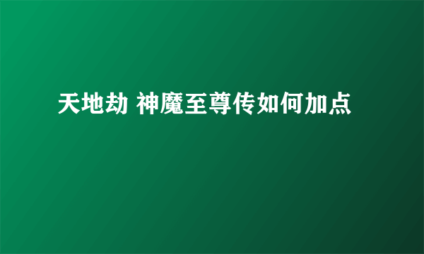 天地劫 神魔至尊传如何加点