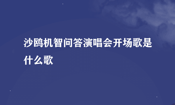 沙鸥机智问答演唱会开场歌是什么歌