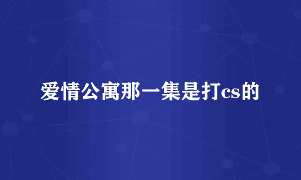 爱情公寓那一集是打cs的