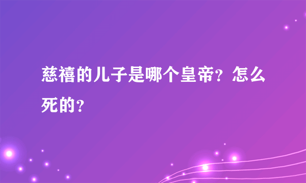 慈禧的儿子是哪个皇帝？怎么死的？