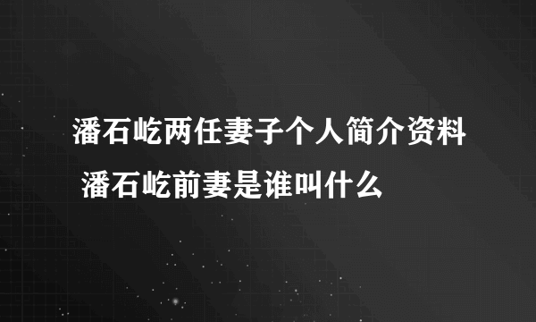 潘石屹两任妻子个人简介资料 潘石屹前妻是谁叫什么