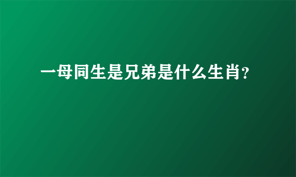 一母同生是兄弟是什么生肖？