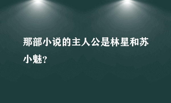 那部小说的主人公是林星和苏小魅？