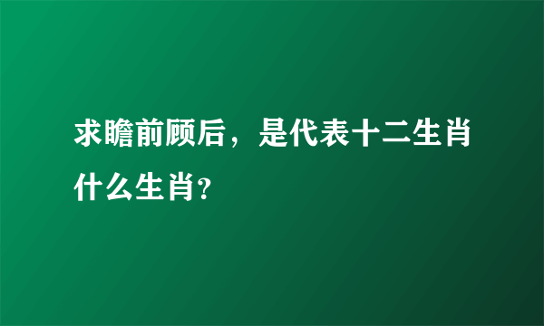 求瞻前顾后，是代表十二生肖什么生肖？