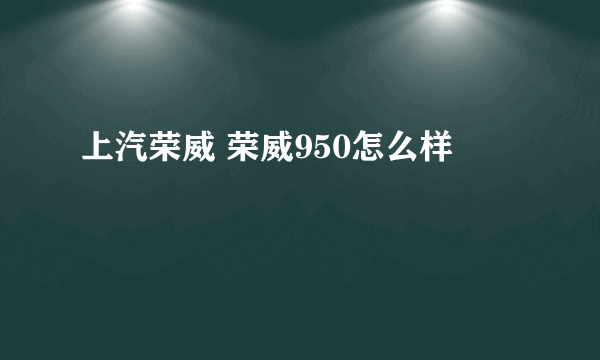 上汽荣威 荣威950怎么样