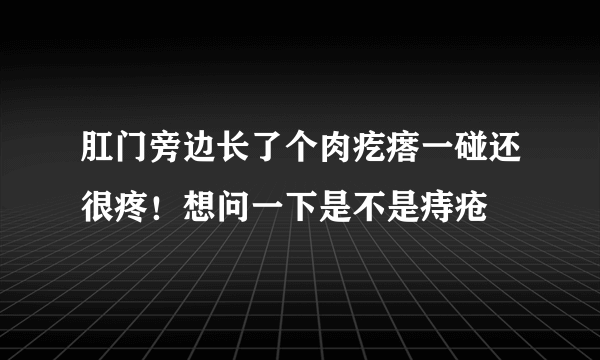 肛门旁边长了个肉疙瘩一碰还很疼！想问一下是不是痔疮