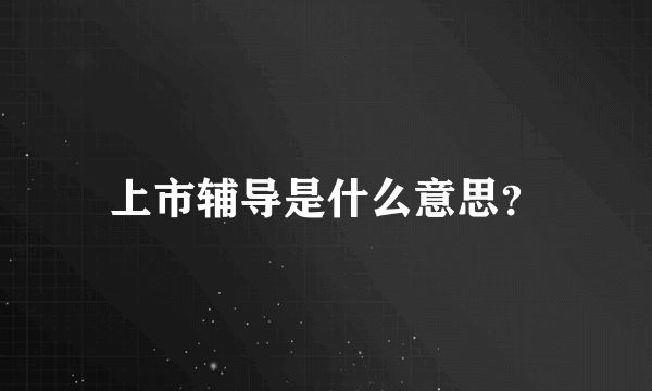 上市辅导是什么意思？