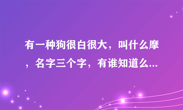 有一种狗很白很大，叫什么摩，名字三个字，有谁知道么？全身雪白