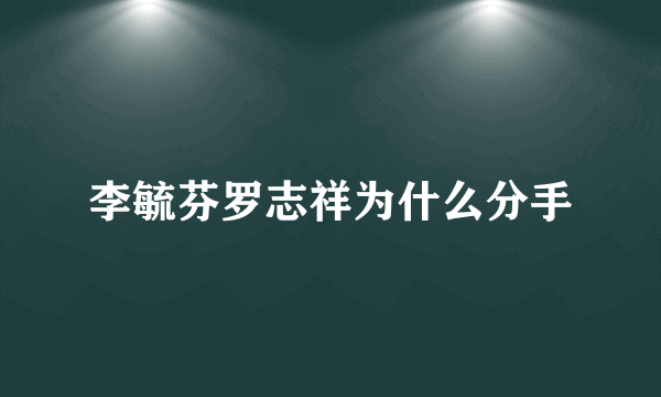 李毓芬罗志祥为什么分手