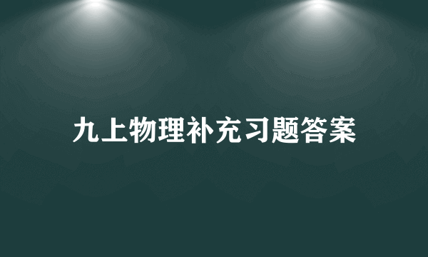 九上物理补充习题答案