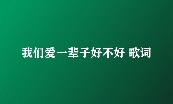 我们爱一辈子好不好 歌词