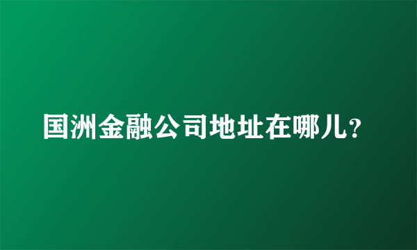 国洲金融公司地址在哪儿？