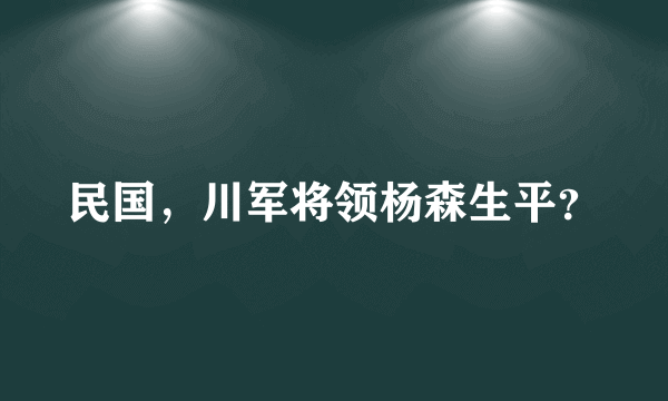 民国，川军将领杨森生平？