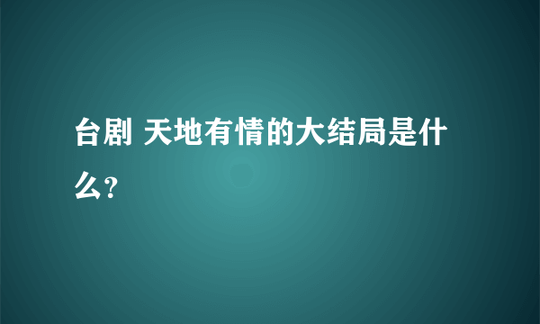 台剧 天地有情的大结局是什么？