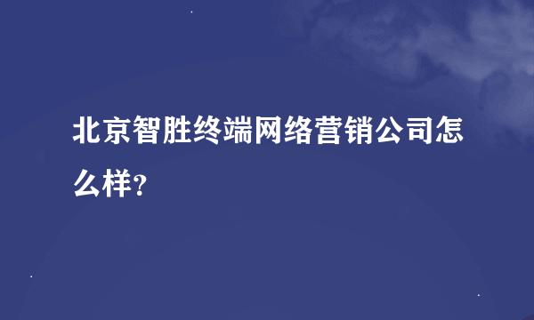 北京智胜终端网络营销公司怎么样？