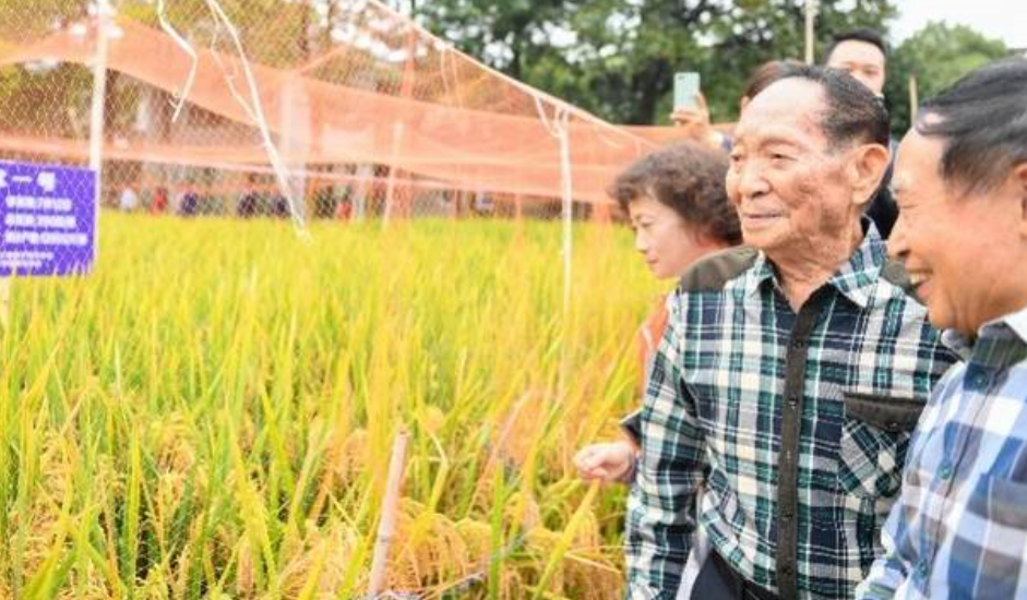 袁隆平曾用8个字勉励年轻人，你知道是哪8个字吗？