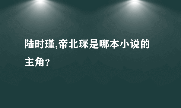 陆时瑾,帝北琛是哪本小说的主角？