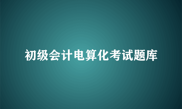 初级会计电算化考试题库