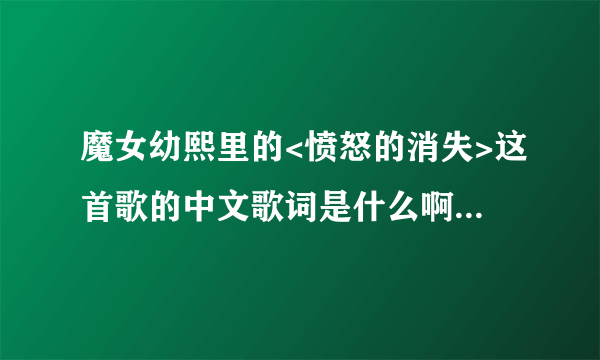 魔女幼熙里的<愤怒的消失>这首歌的中文歌词是什么啊?帮忙翻译下