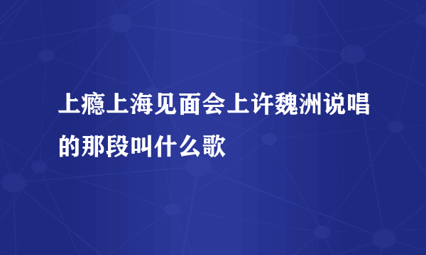 上瘾上海见面会上许魏洲说唱的那段叫什么歌