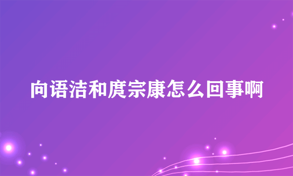 向语洁和庹宗康怎么回事啊