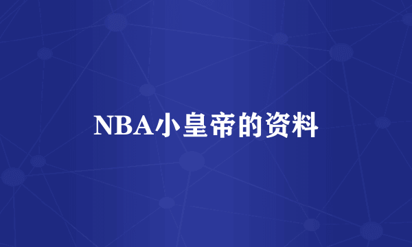 NBA小皇帝的资料