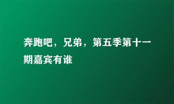 奔跑吧，兄弟，第五季第十一期嘉宾有谁