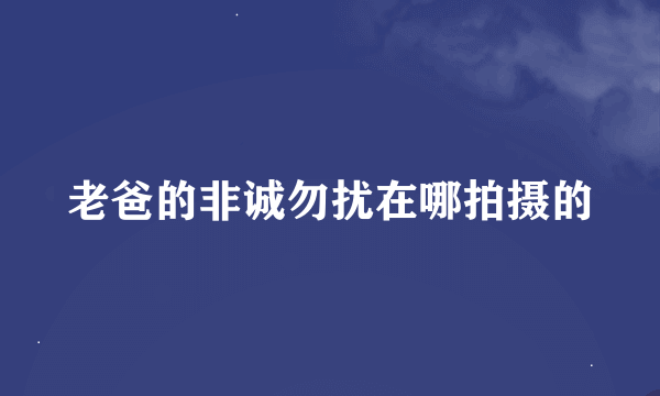 老爸的非诚勿扰在哪拍摄的