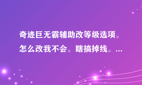 奇迹巨无霸辅助改等级选项。怎么改我不会。瞎搞掉线。我要的是改等级然后镶嵌宝石加攻击的效果