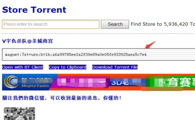 store torrent是怎么了